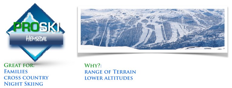 Hemsedal Sell Link button